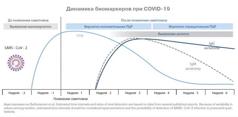 Ибп на основе специфических антител какая группа